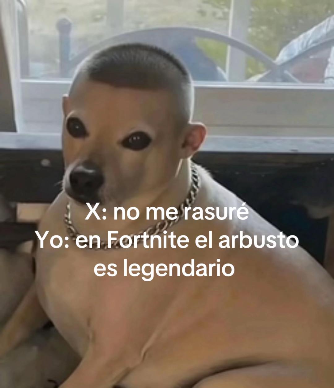 @NewCorridosMx