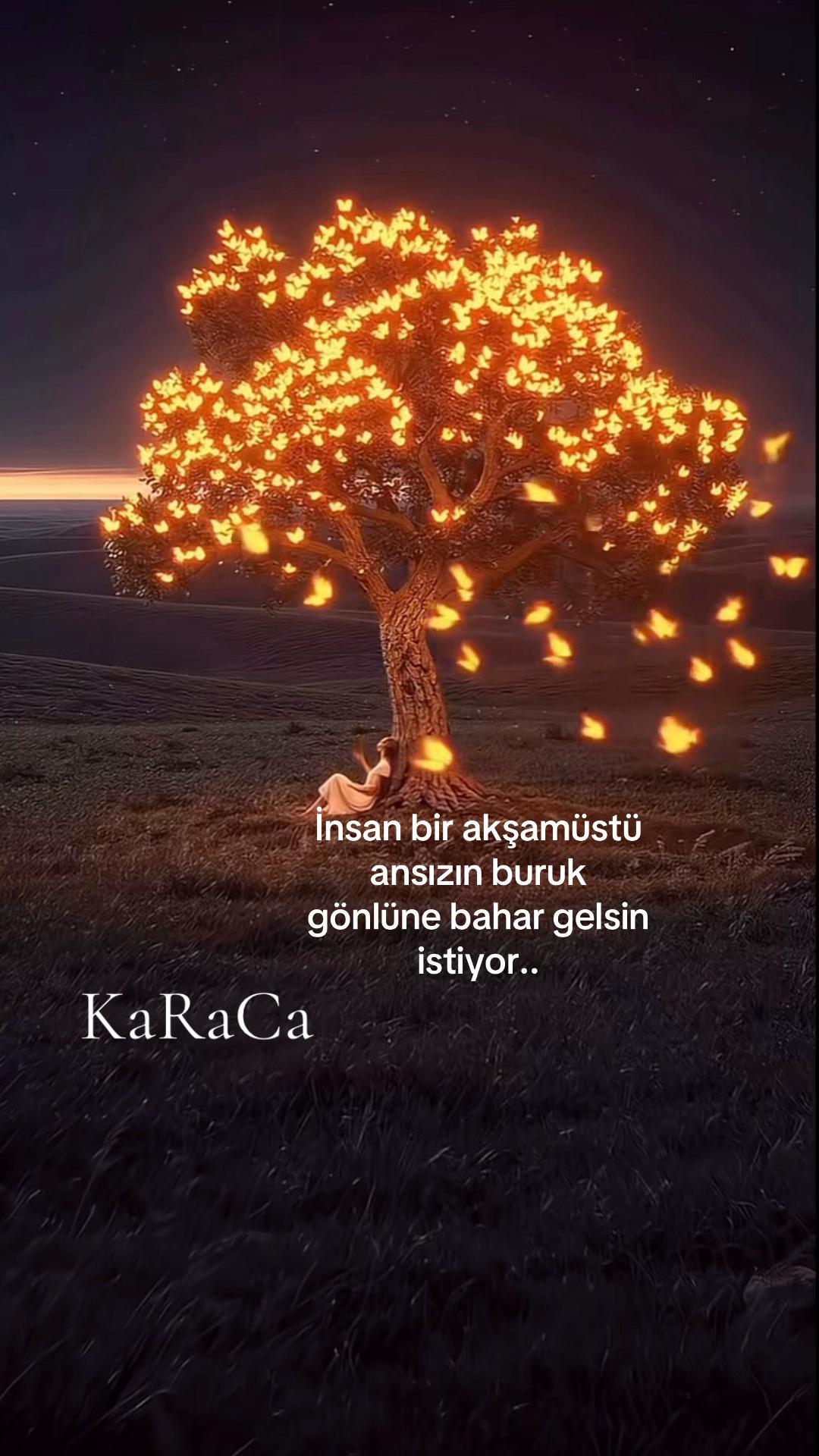 @KaRaCa