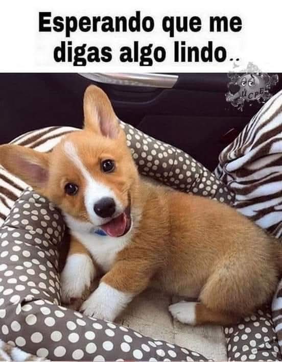 @EL TIO JE