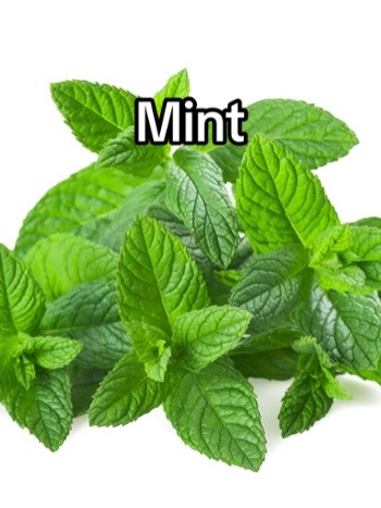 @CalsMk6