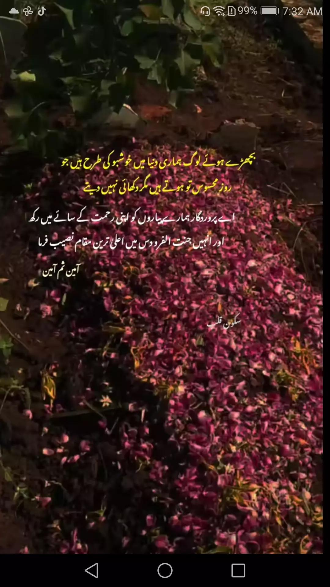 @rananaveed85971