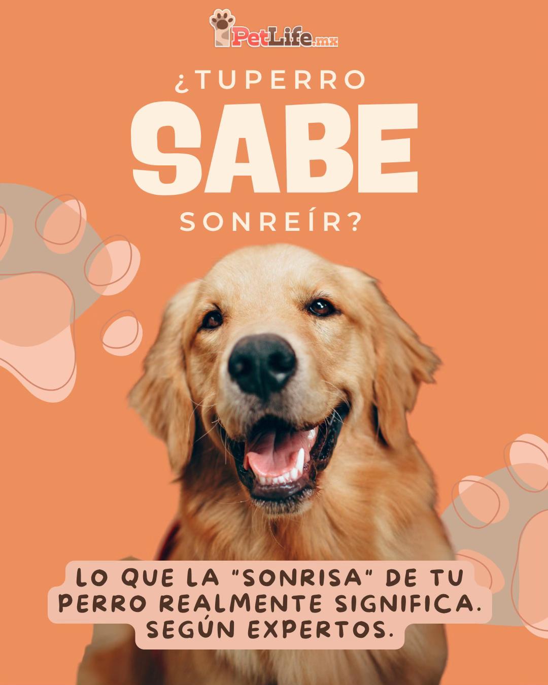 @Petlife