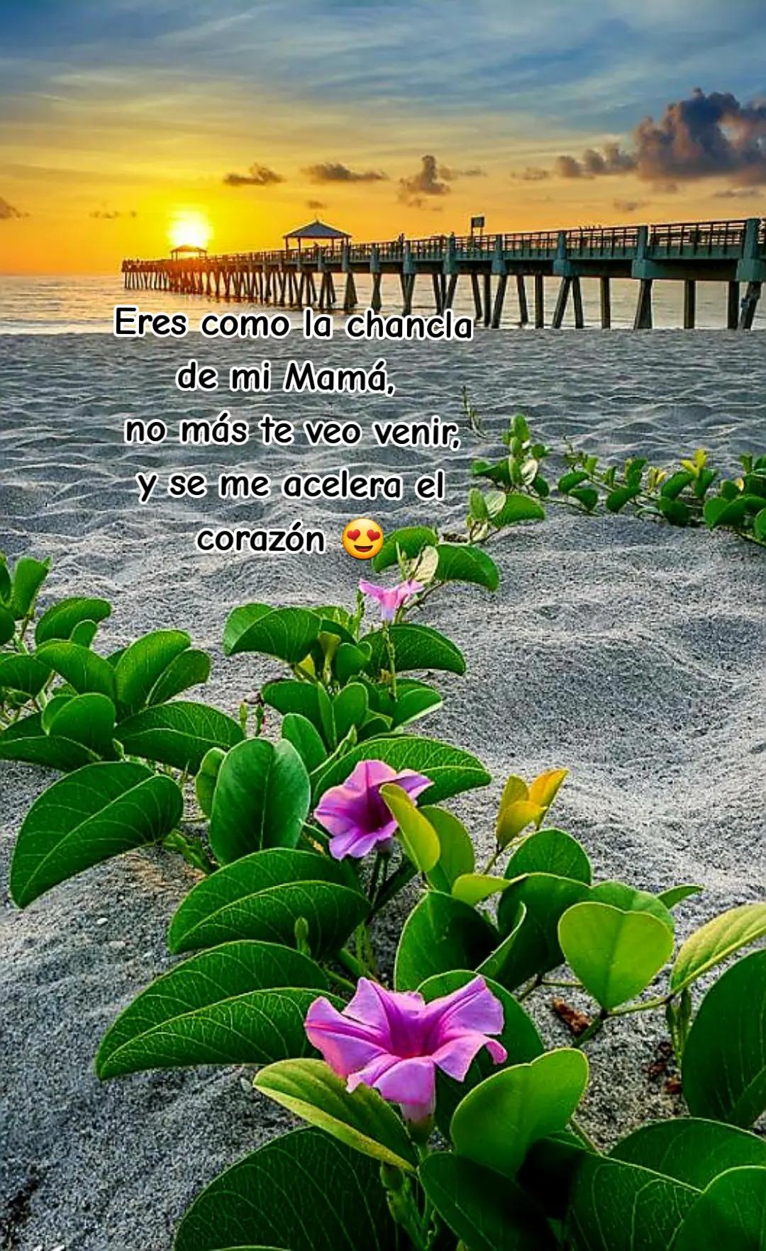 @Frases, humor y más.