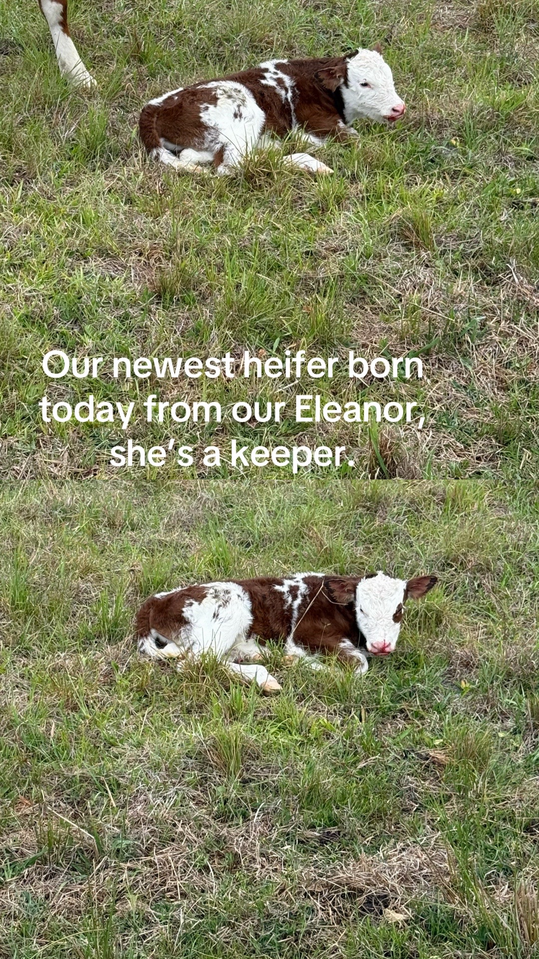 @Kelley Farms