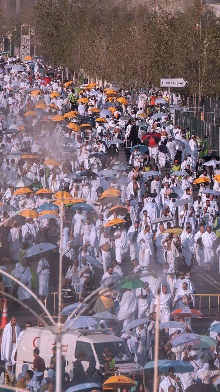 @ابونايف
