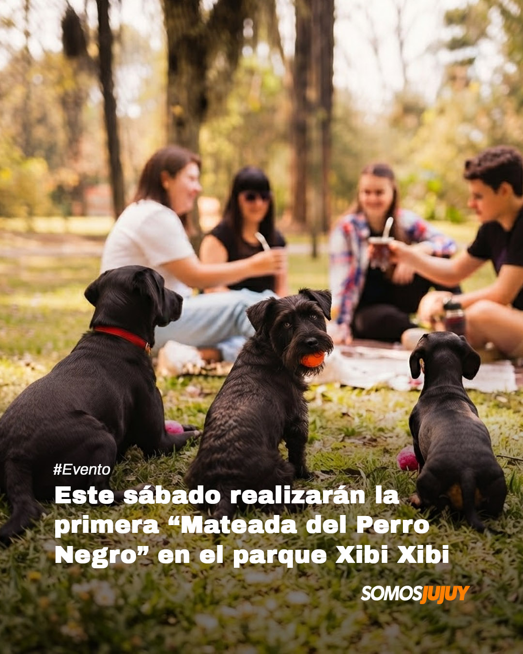 @Somos Jujuy
