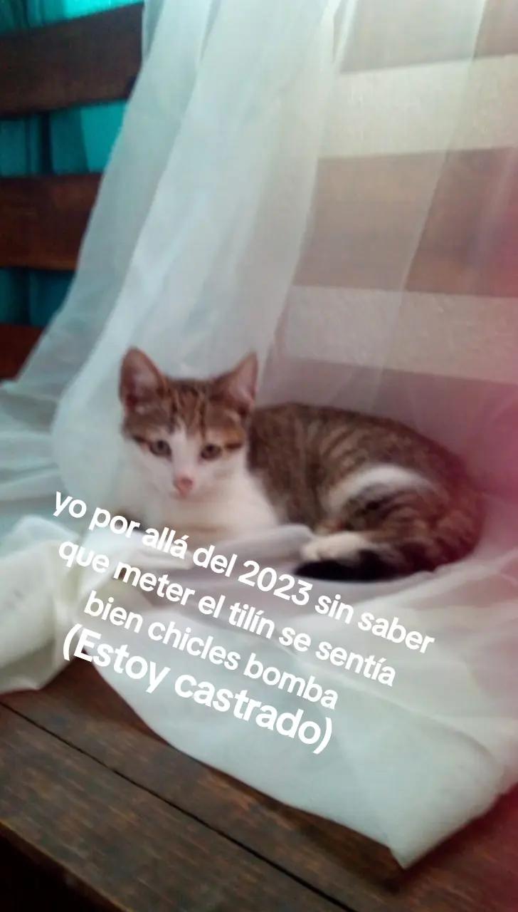 @ser men infinito