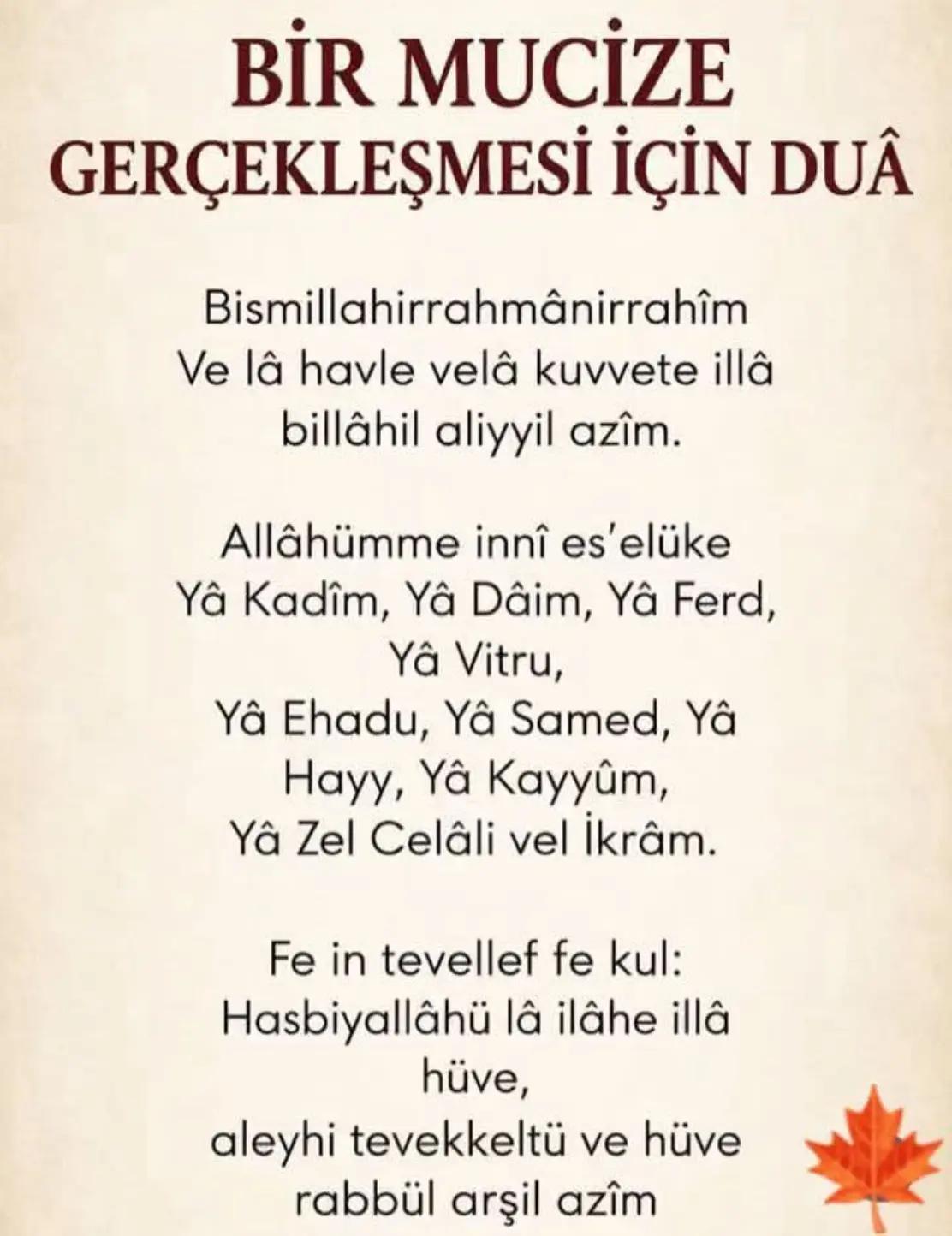 @Raziye Erim