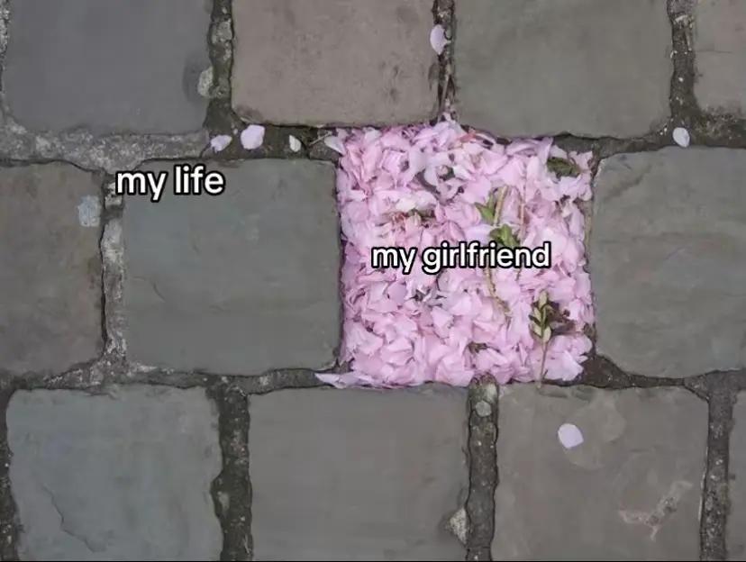 @cherry.
