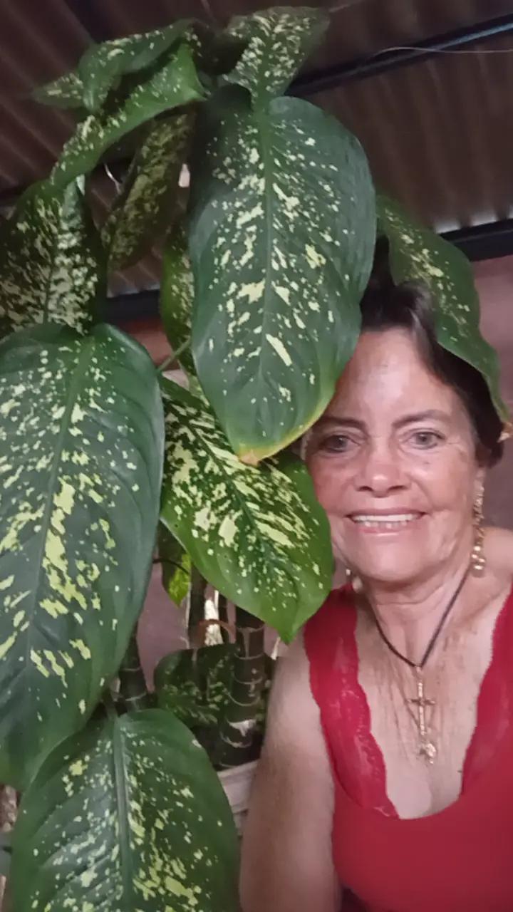 @Maria Aparecida X368