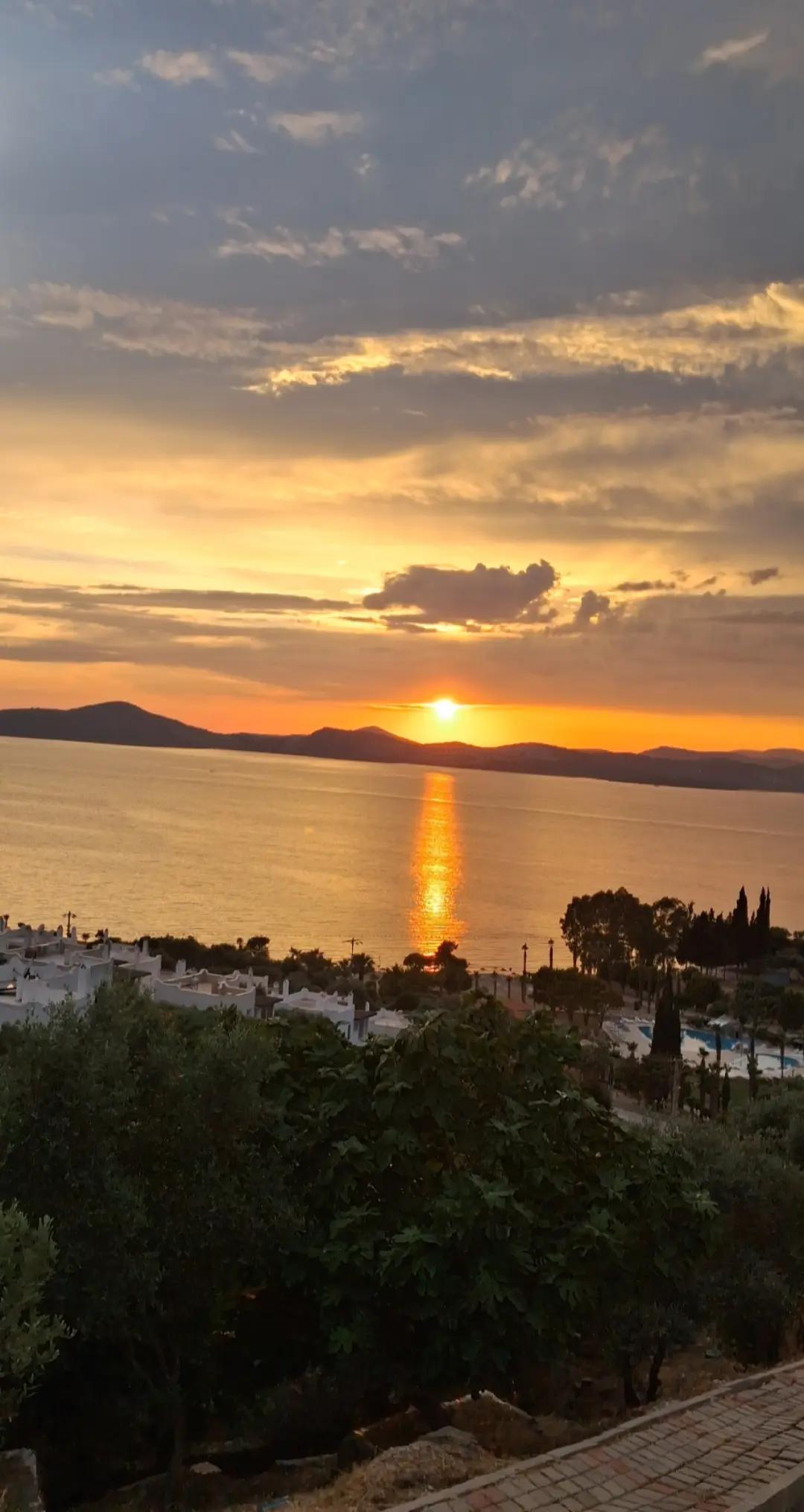 @ahmetdlgkrn