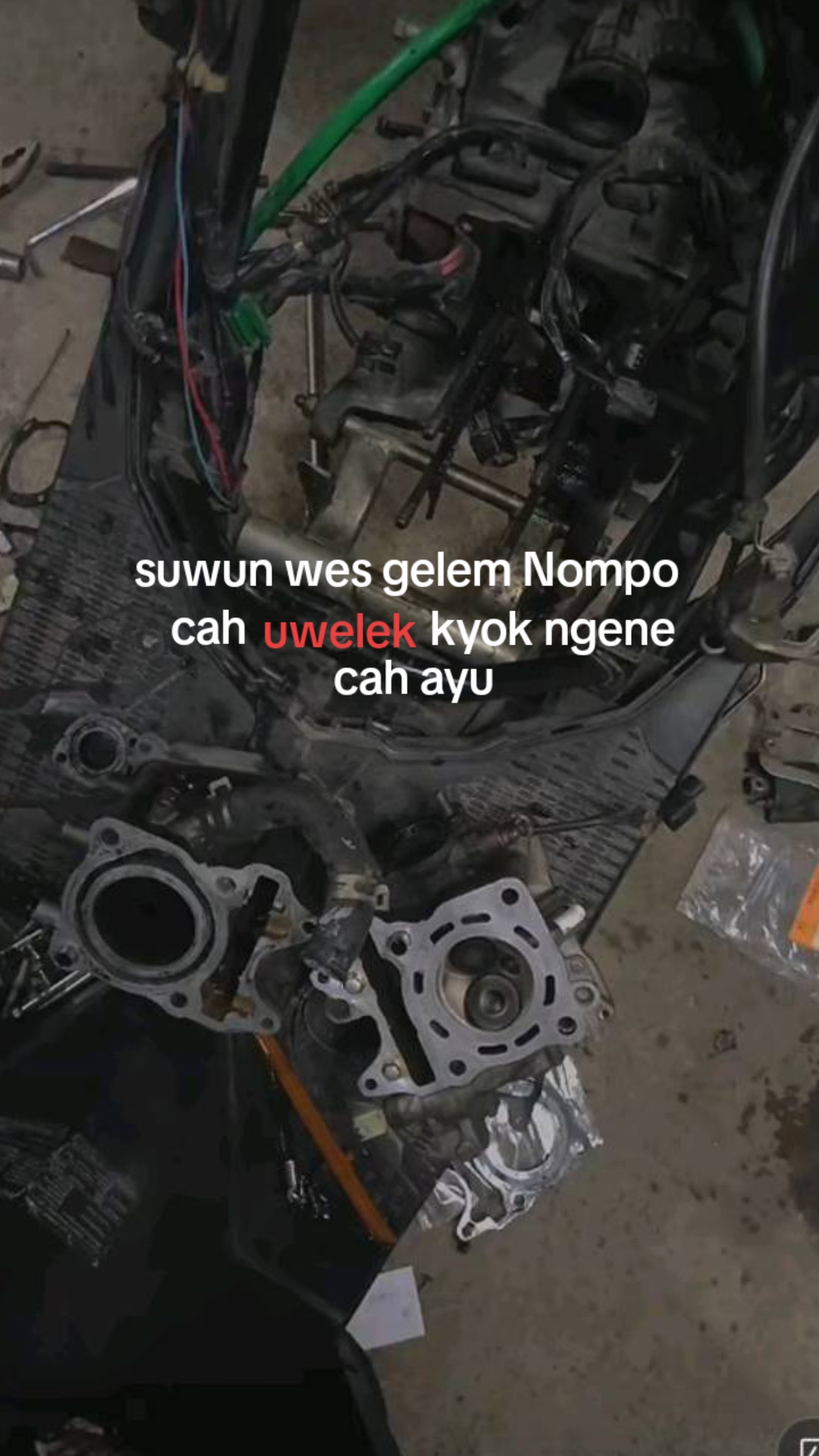@๐๐๐๐๐๐ผ๐ ๐ ๐