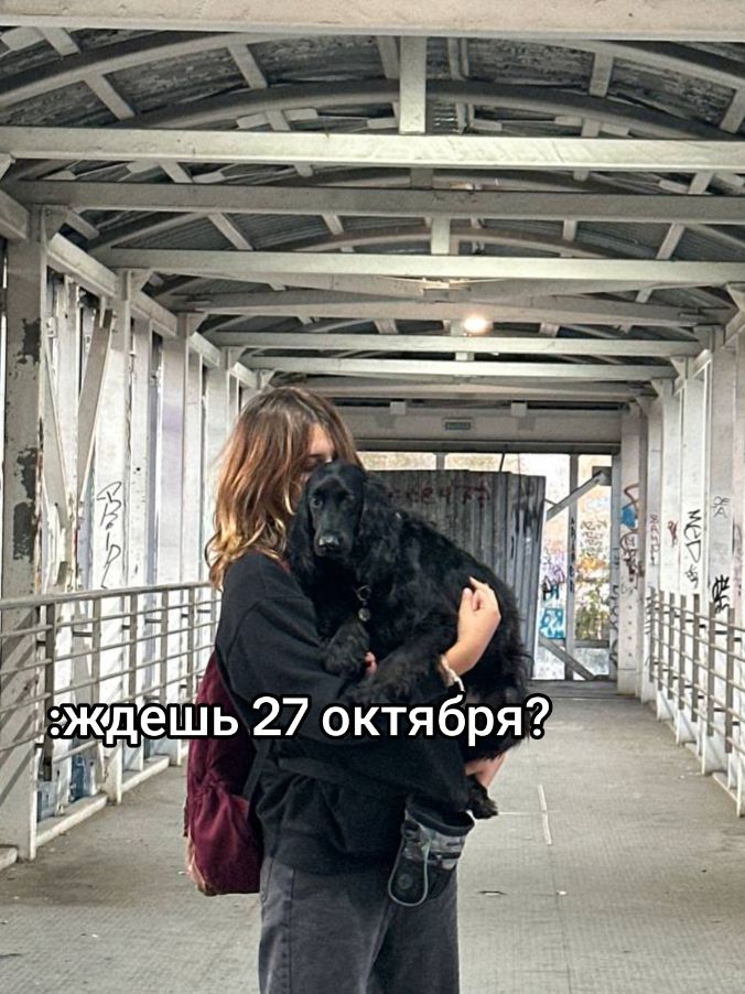 @шакалёнок