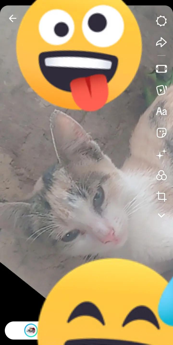 @toxica ramoz 😉😉