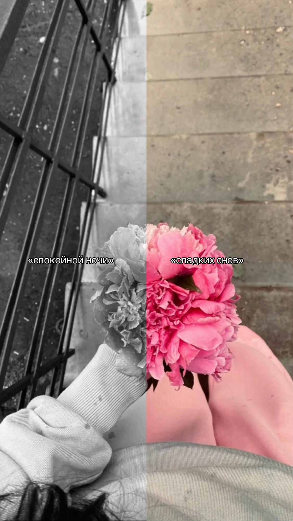 @𓆩m𓆪