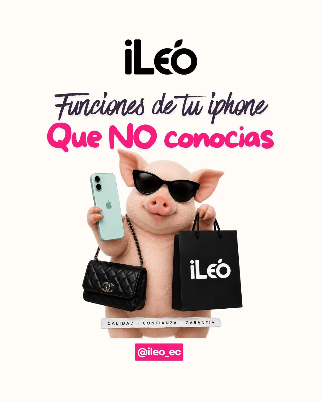 @iLeo_ec