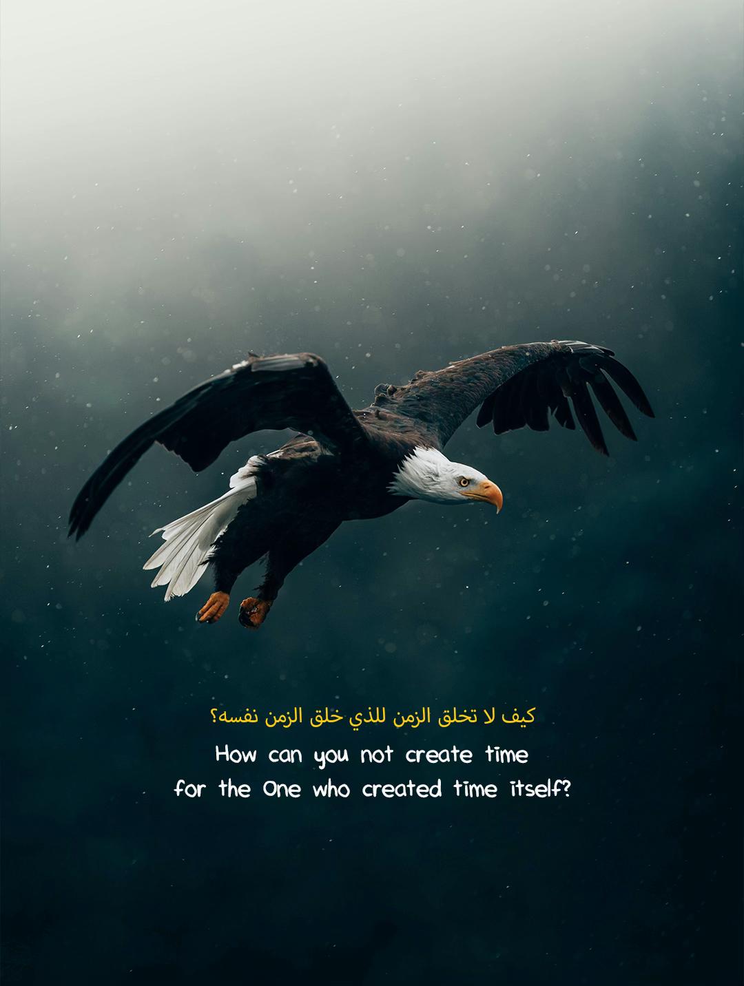 @Islam Jannnah