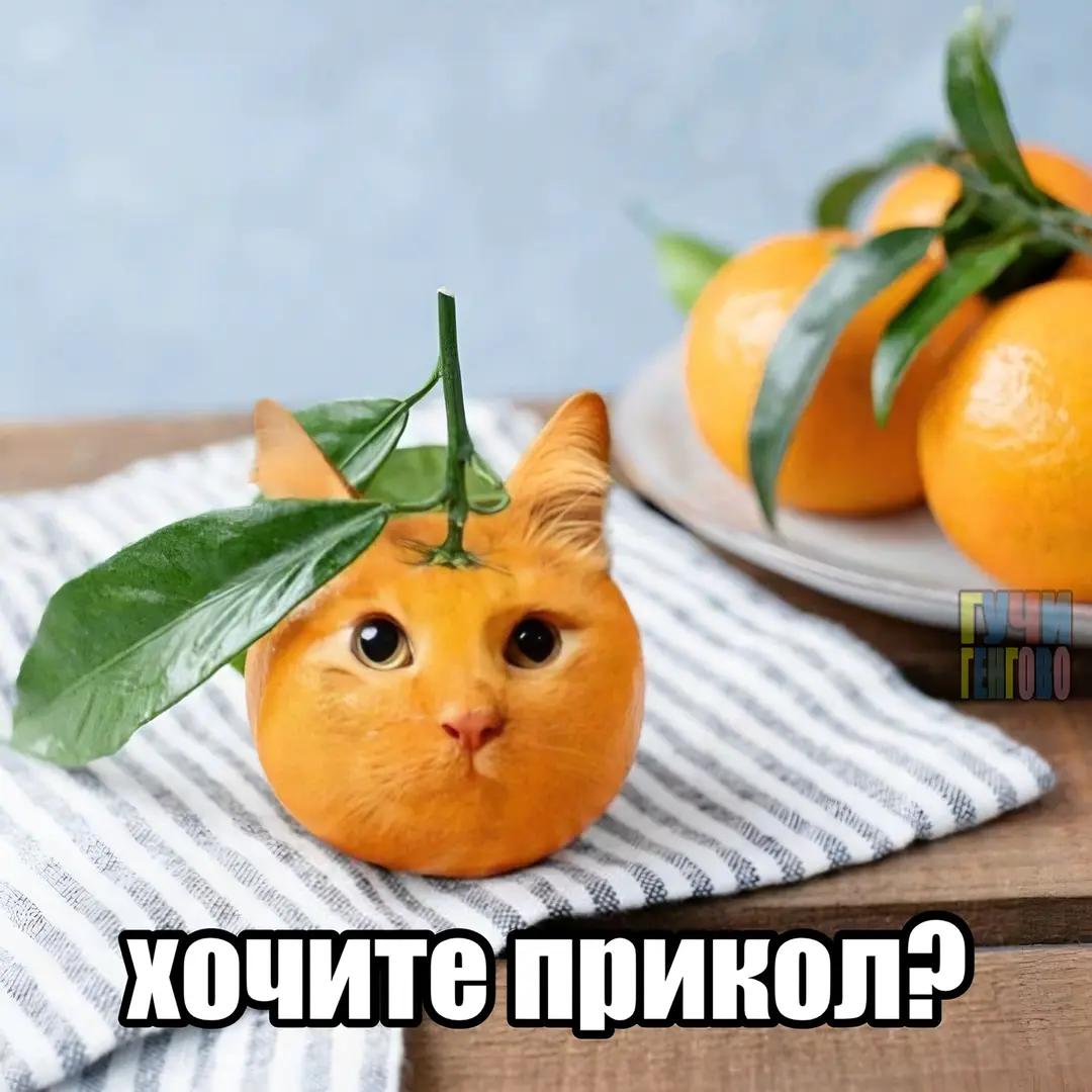 @😺