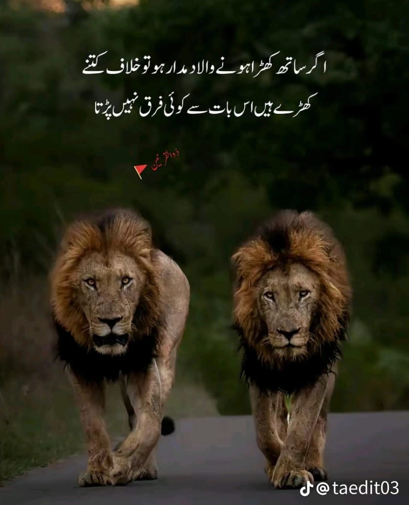 @Mughal Edits Ghugh Ala