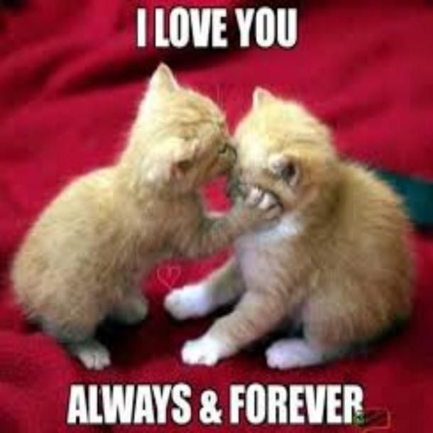 @Maycie!<3