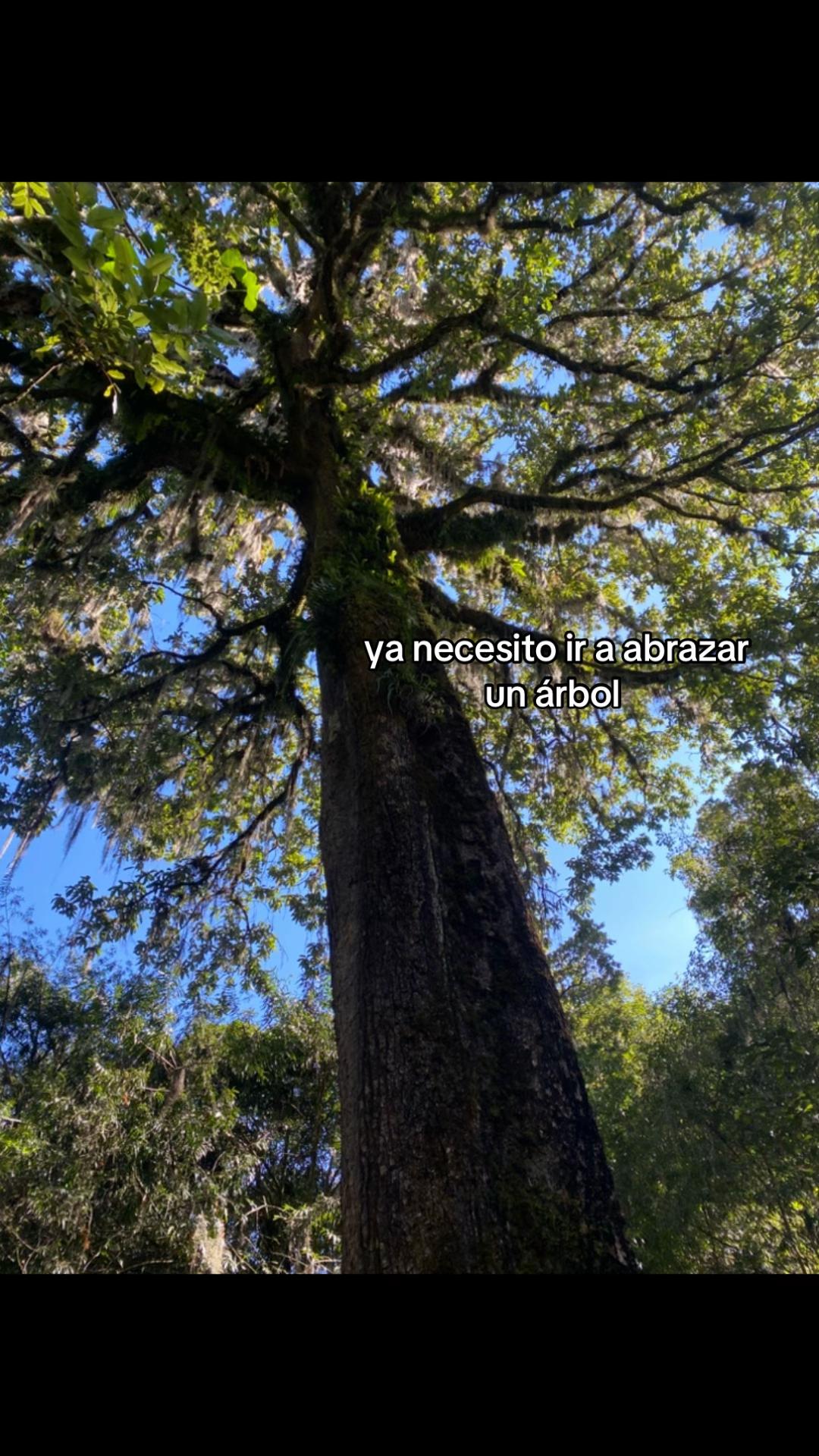 @Julissa