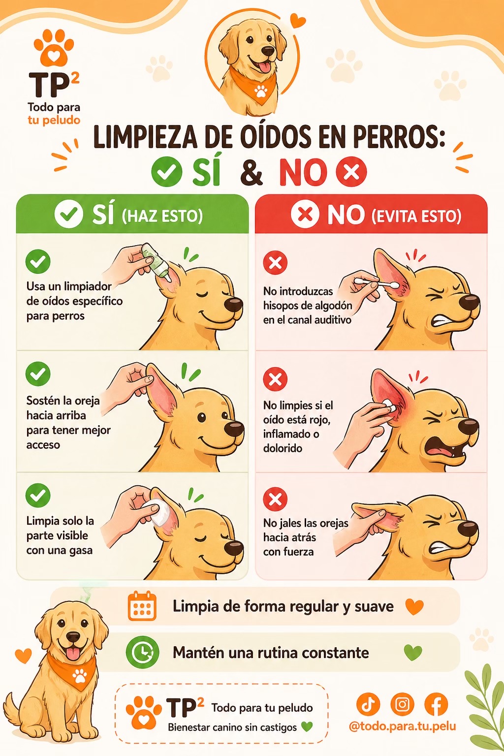 @Todo para tu peludo
