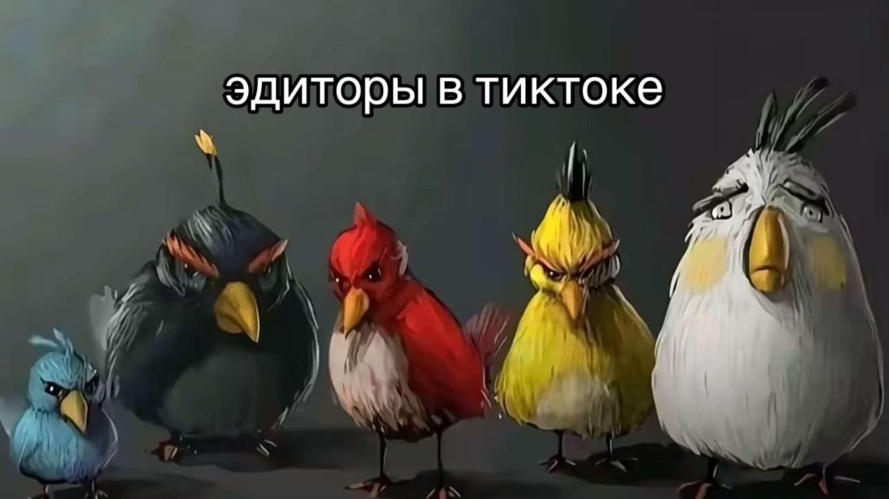 @meow