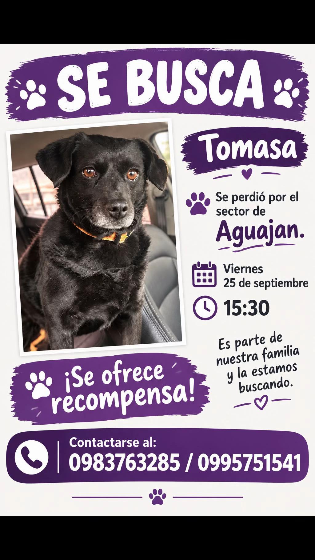 @Amigoscaninos_Ambato