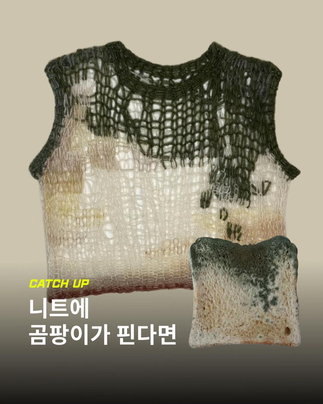 @이슈&트렌드 | 케찹