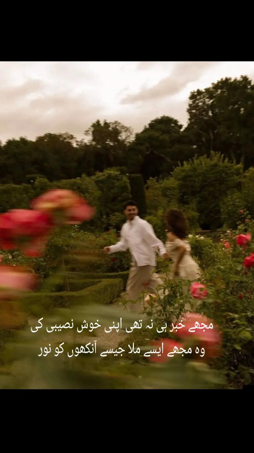 @Fariha Hassaan❤️