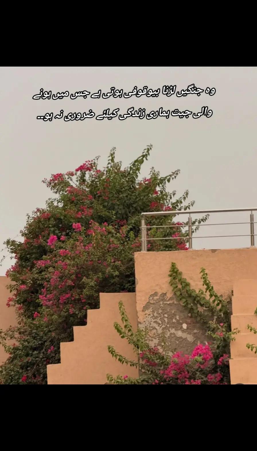 @Uma-Meer ❤️🕊️