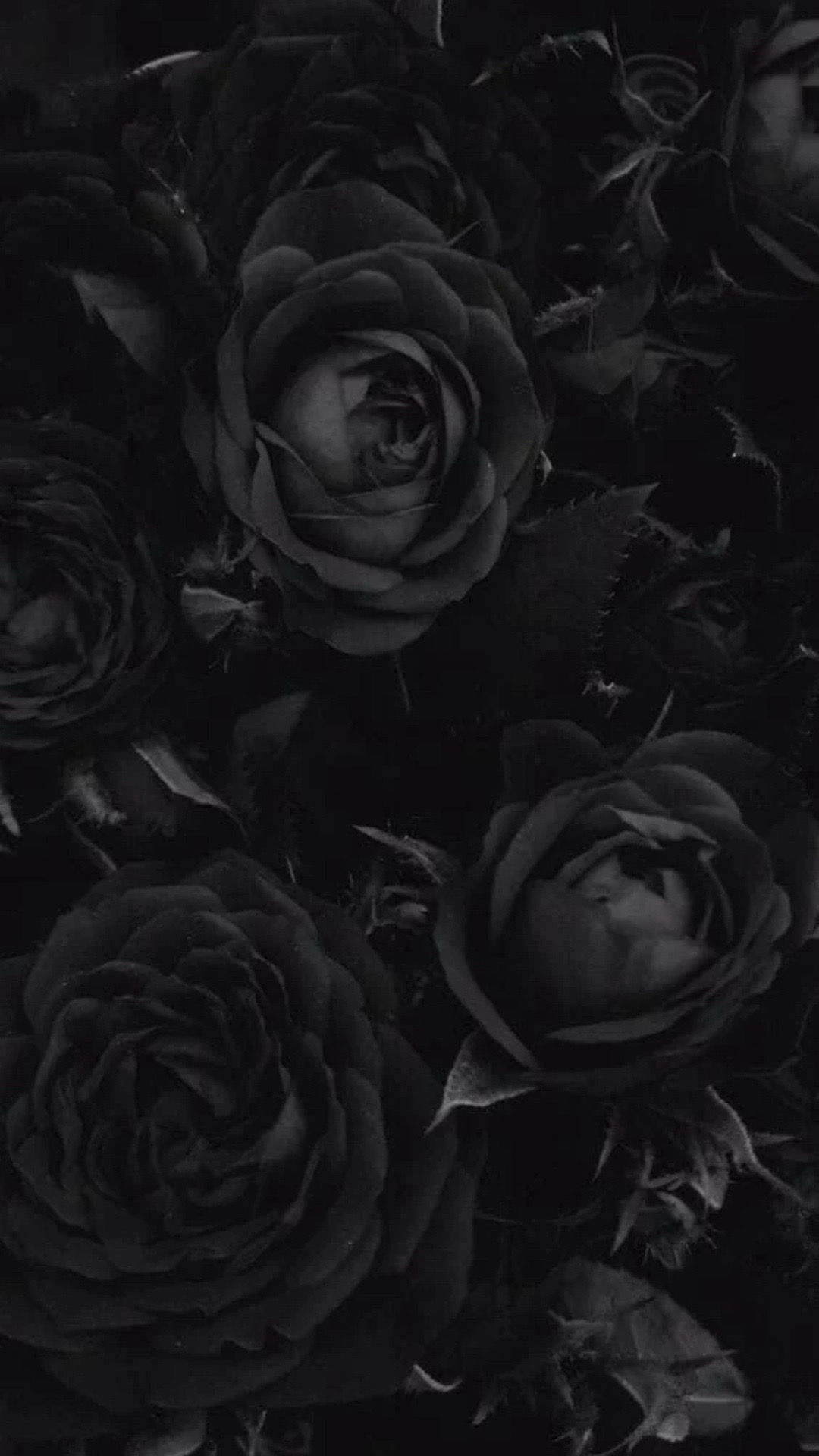 @༄₊˚☁️ 𝑯𝒂𝒏𝒋𝒊 ☁️˚₊༄