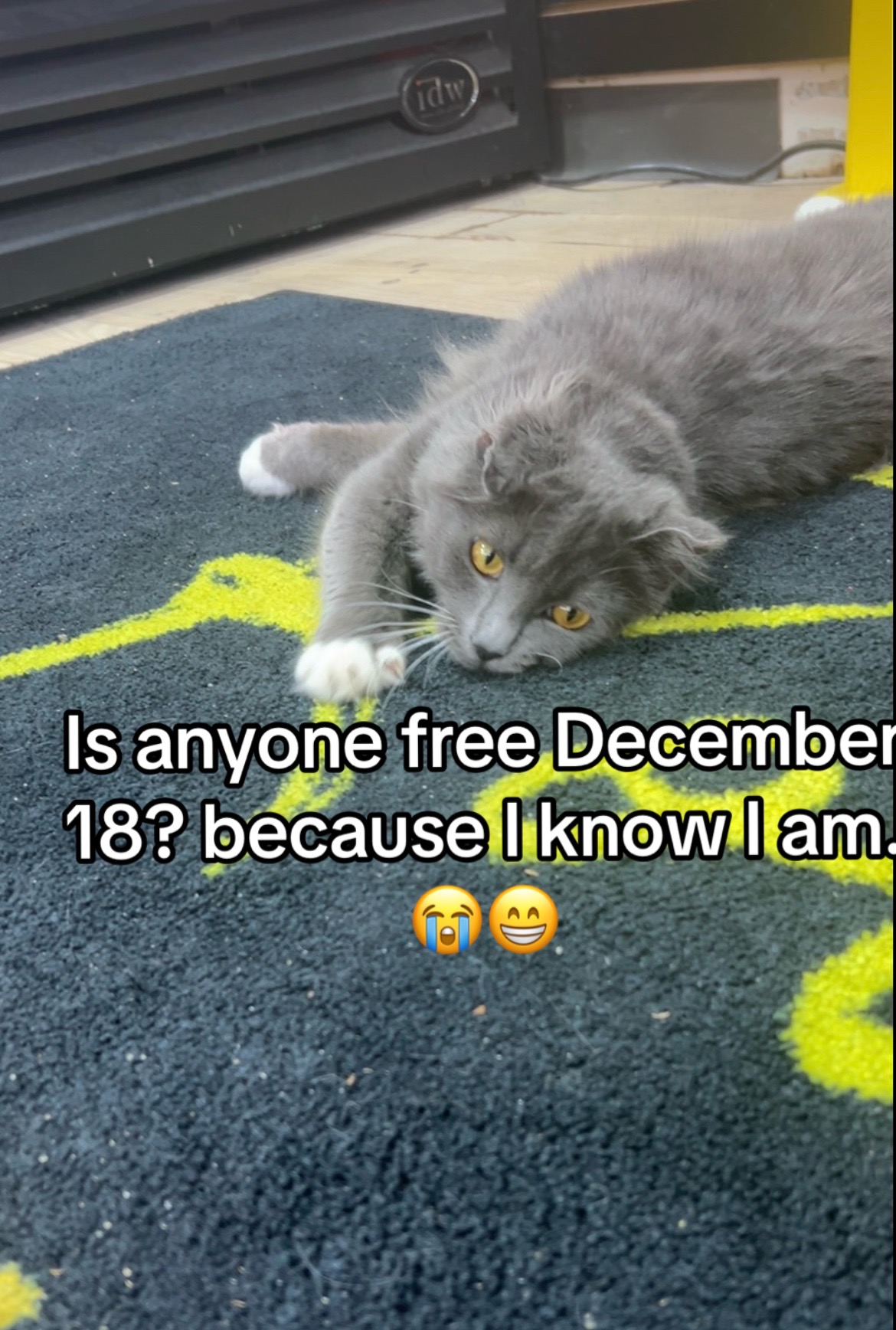 @Blueberrykitty