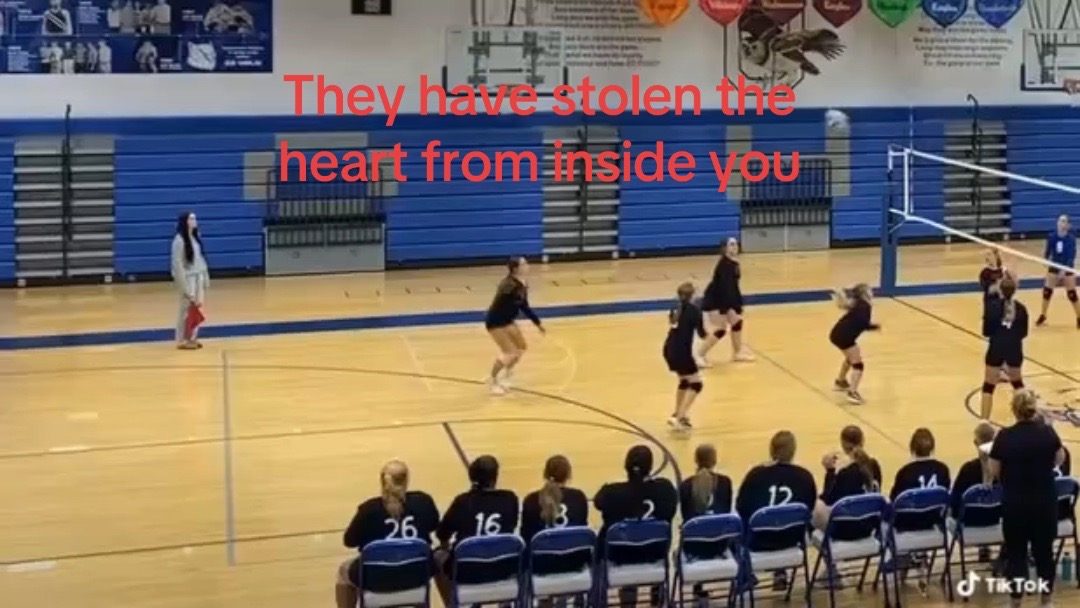 @AT_ballin🏐