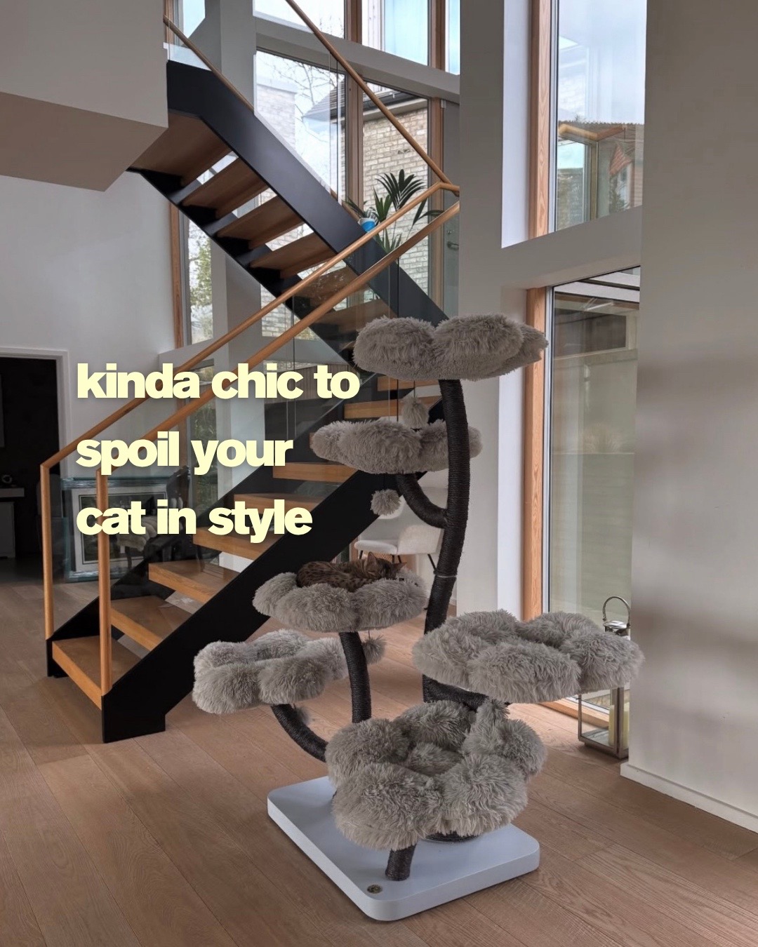 @KBSPETS