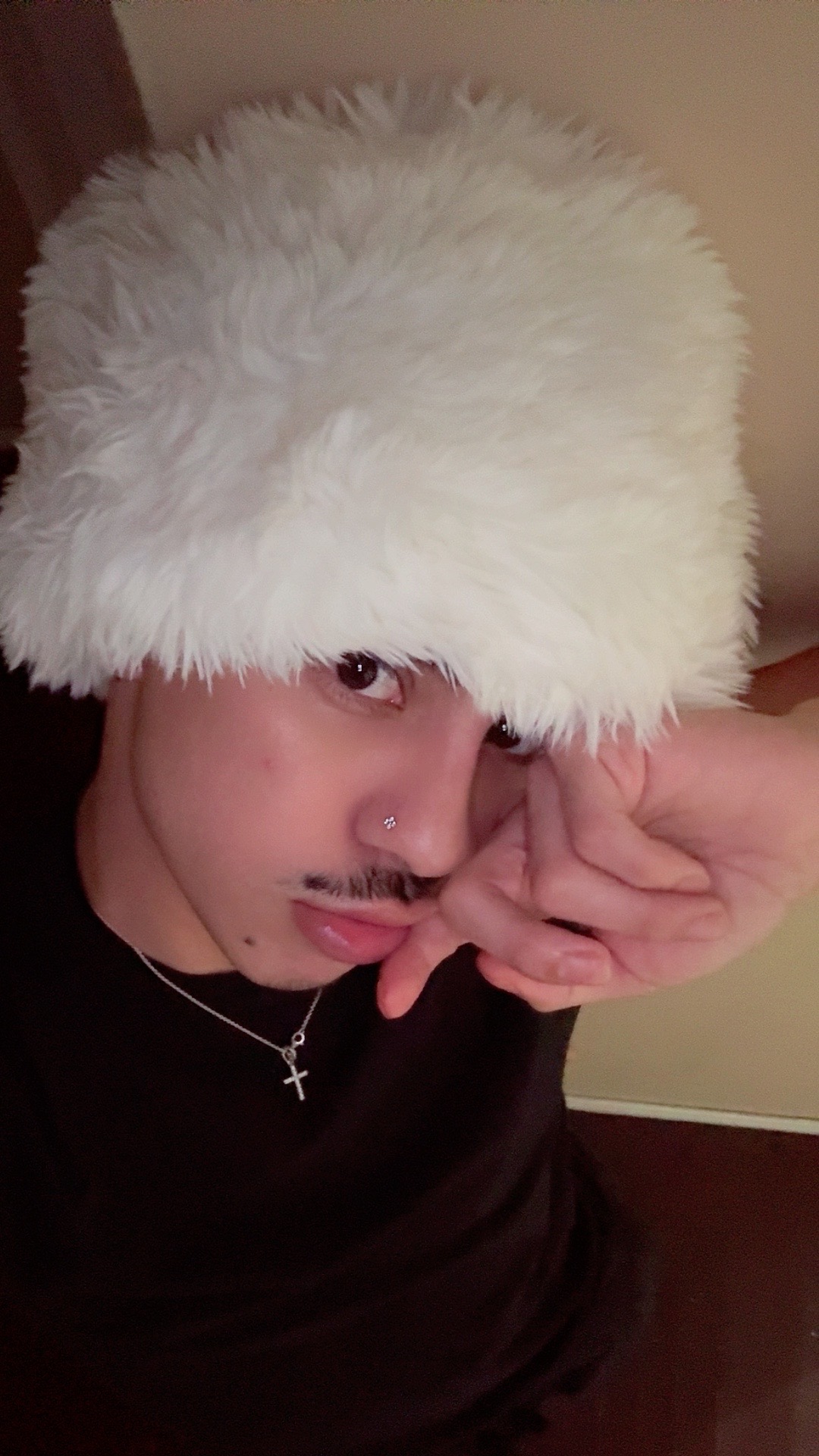 @fruitipai