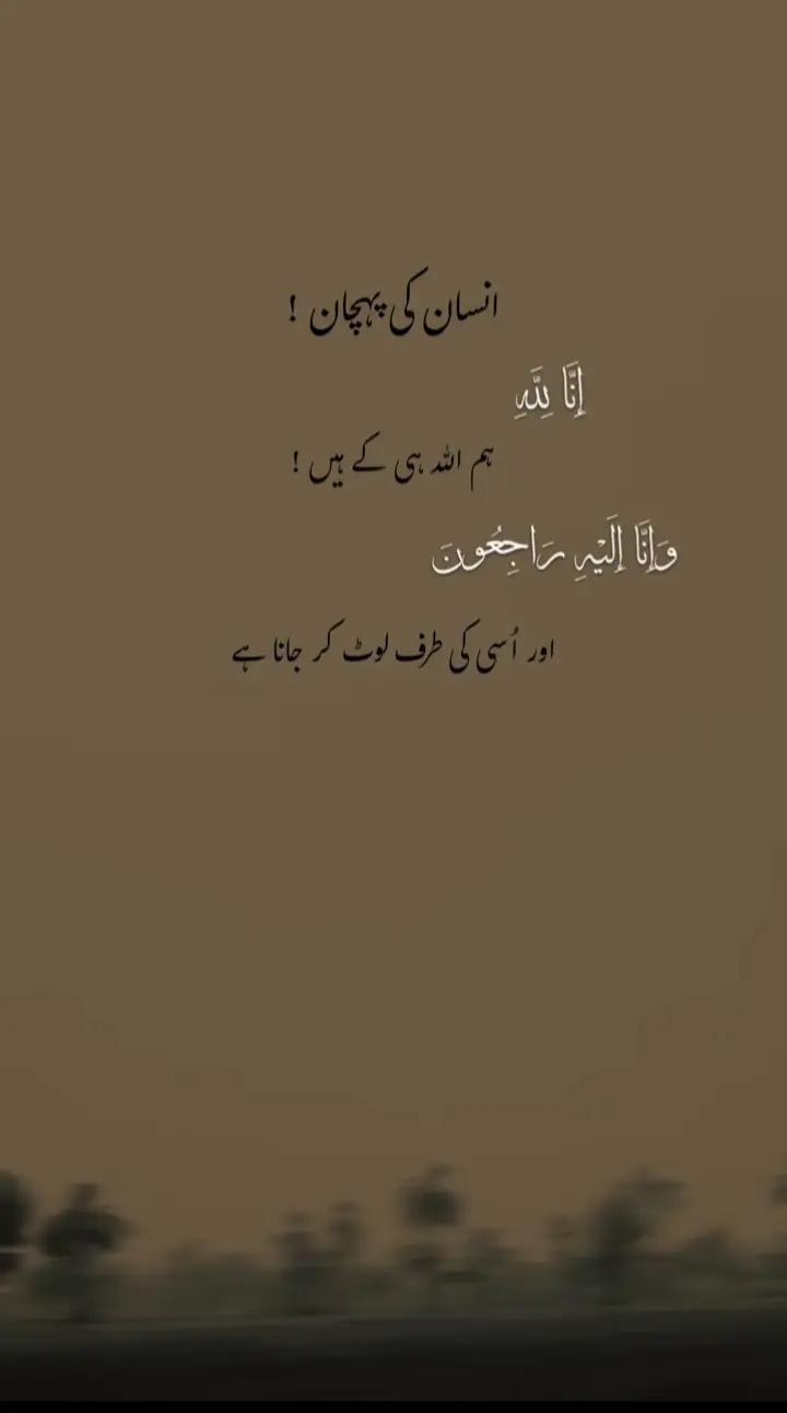 @Arooj princess 🥰