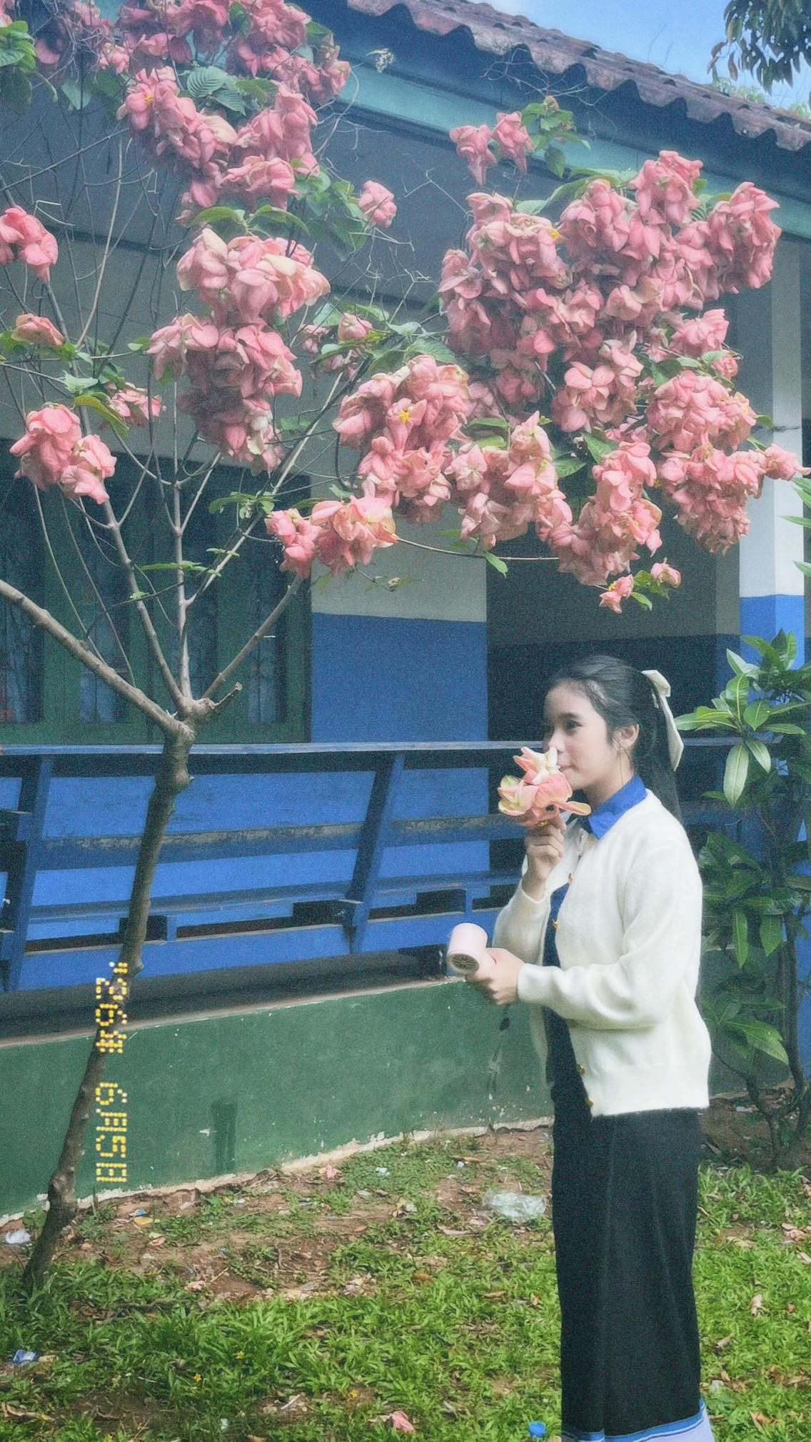 @𝐷𝑎𝑟_.