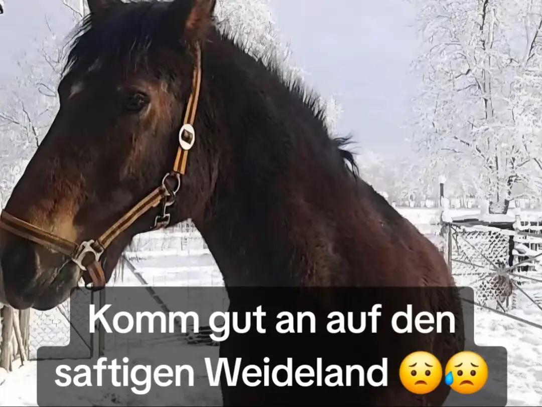 @Binda Hof