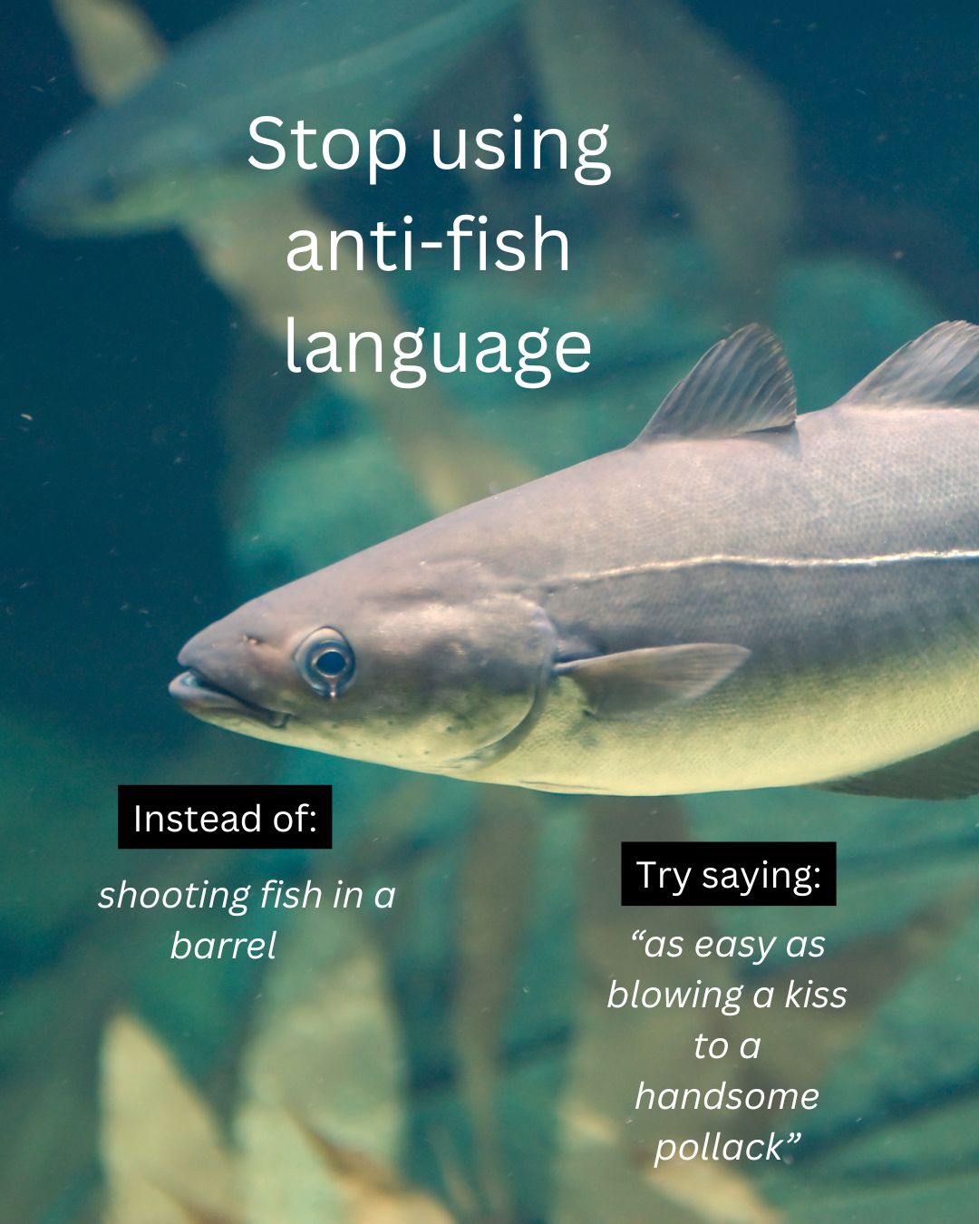 @BristolAquarium