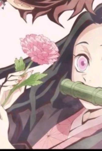 @𐙚🌸𝒏𝒆𝒛𝒖𝒌𝒐𝒔𝒈𝒊𝒓𝒍🌸𐙚