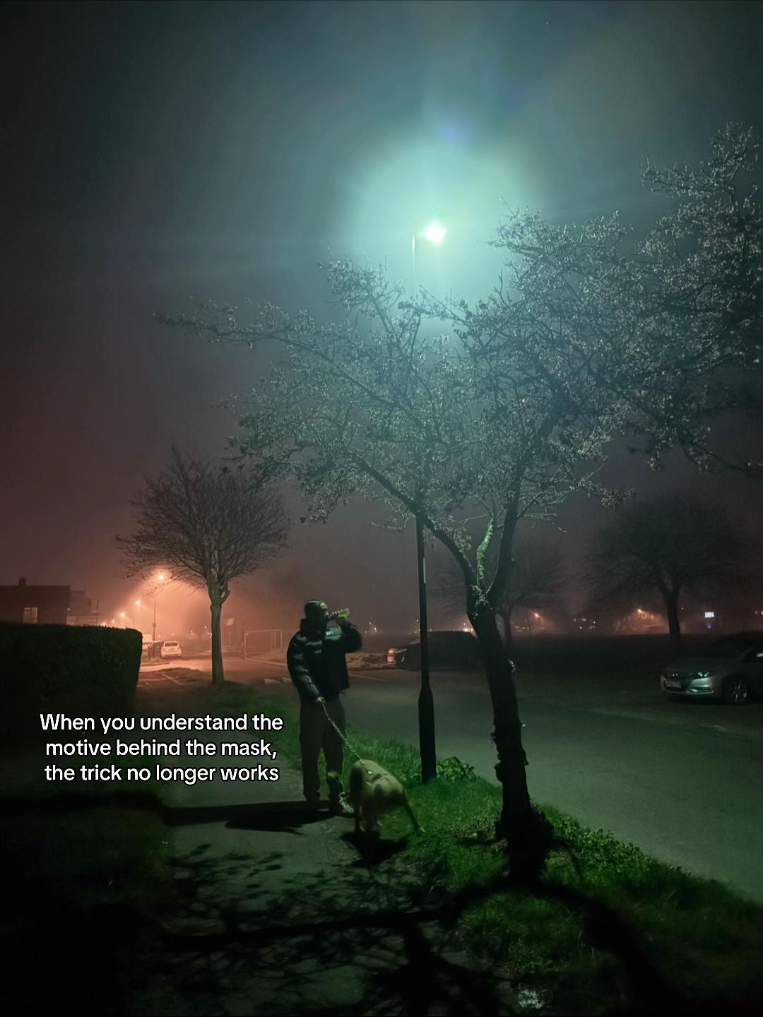 @Anton🦍