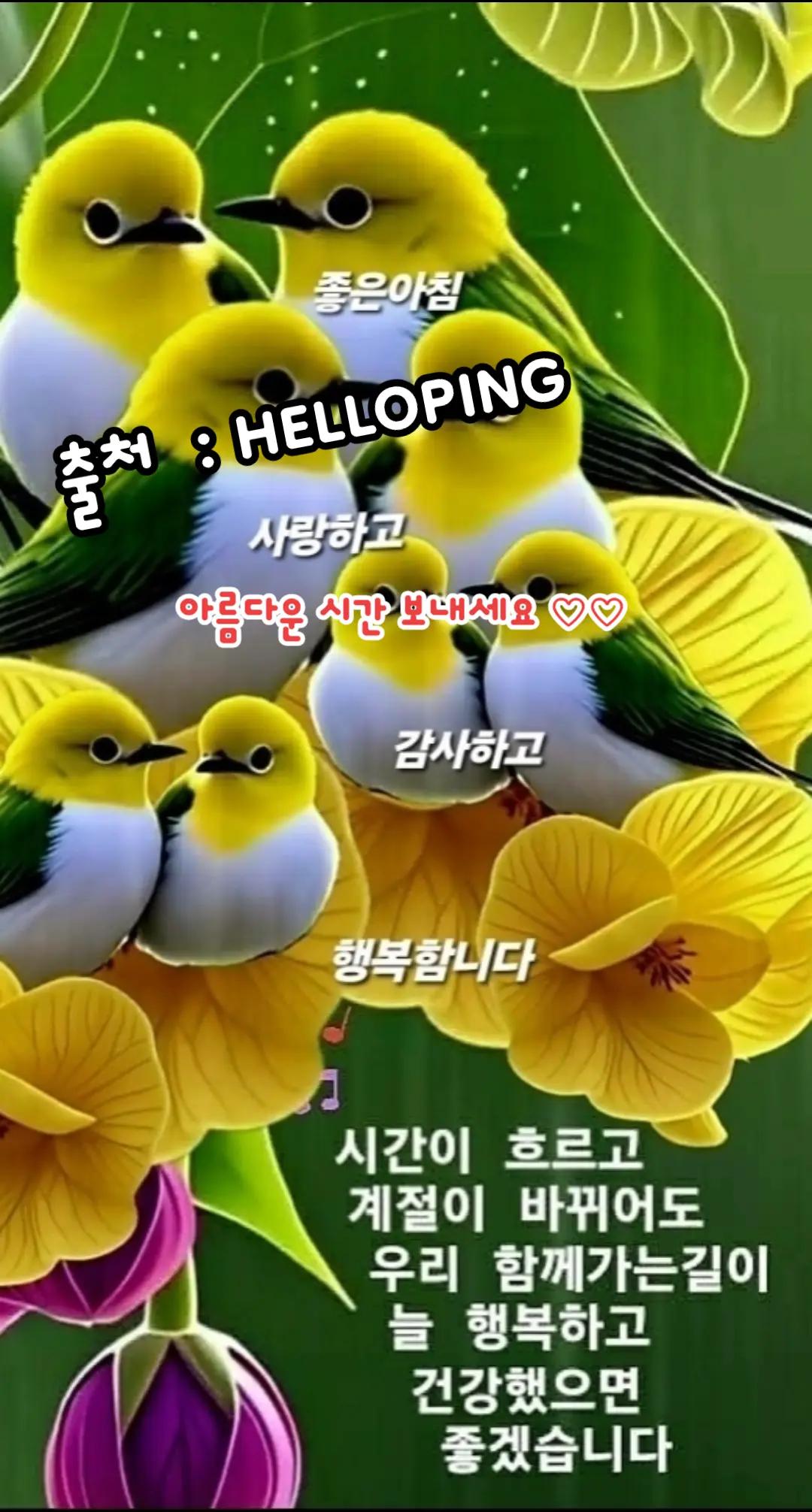 @🇰🇷💙청하🙏하게💙🇰🇷