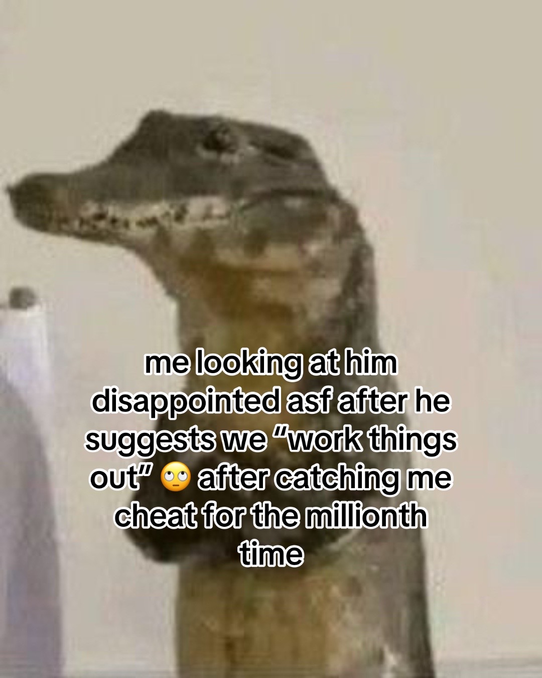 @evil bitch