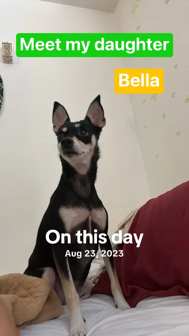 @Unhinged_GIZMO