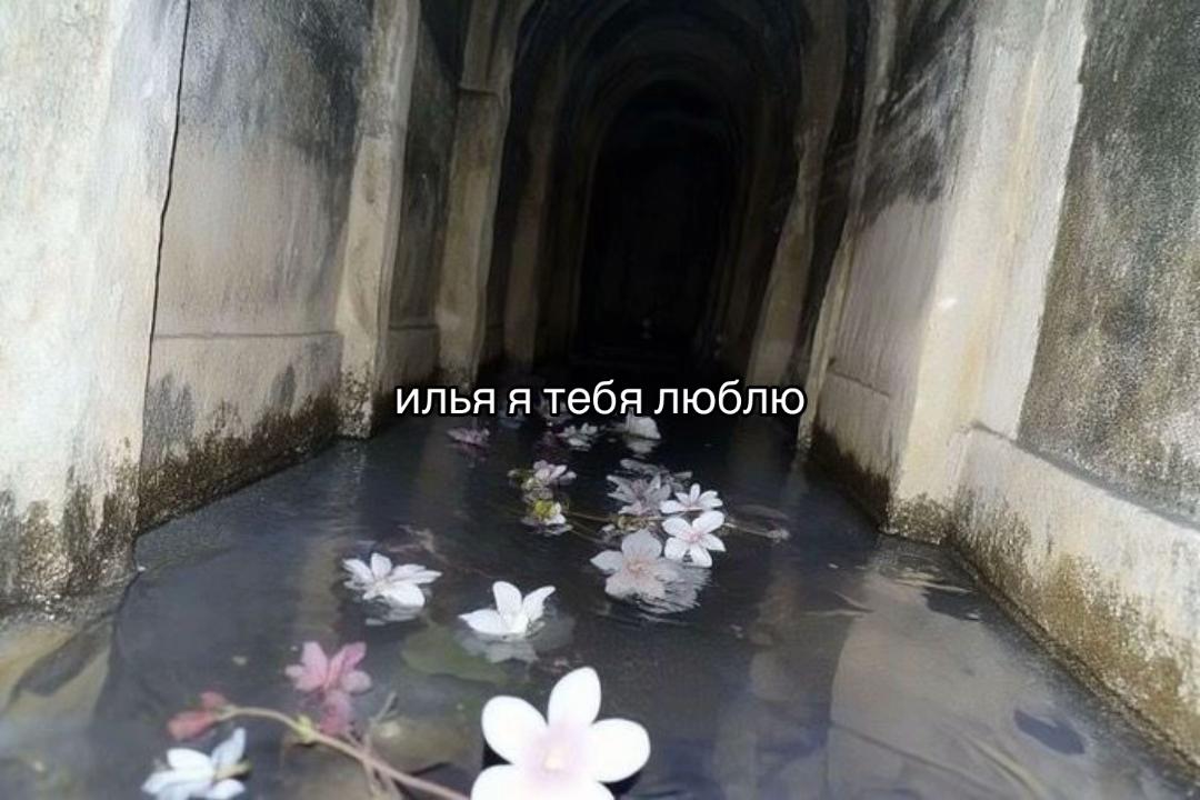 @и🫶🏼