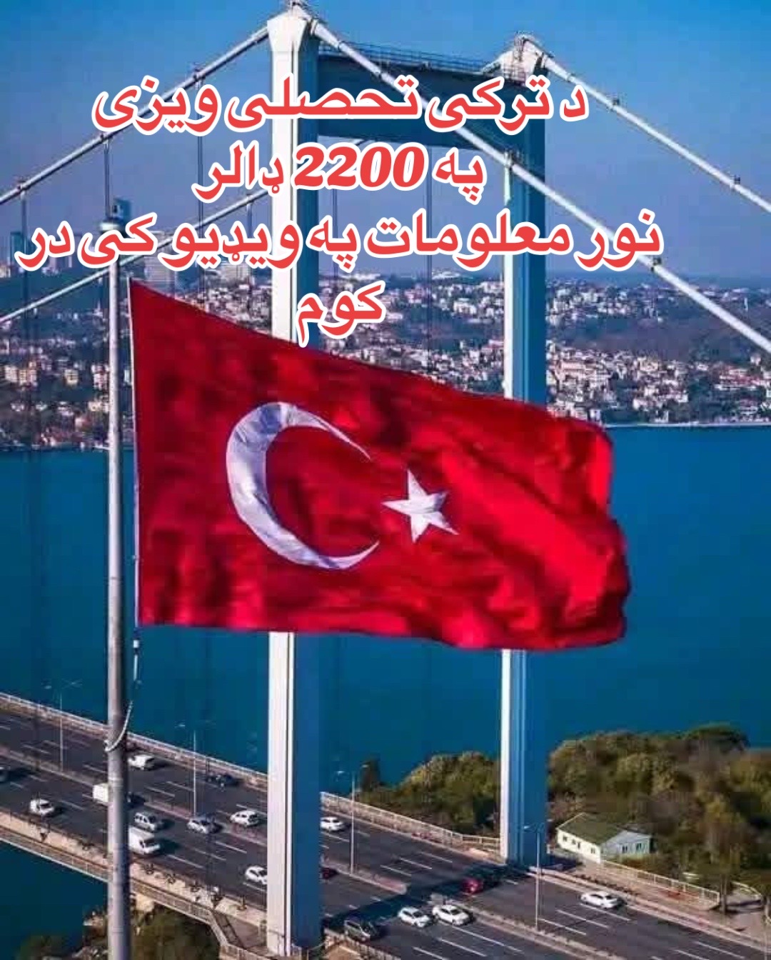 @✅ غنم رنگ ځاځی