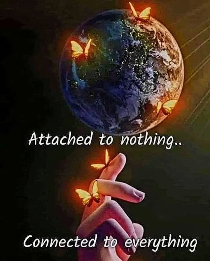 @Lg