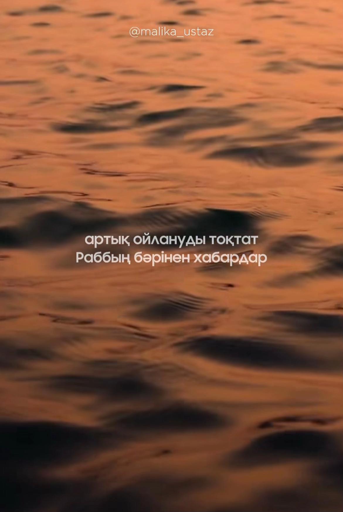 @✨Қаламқас✨