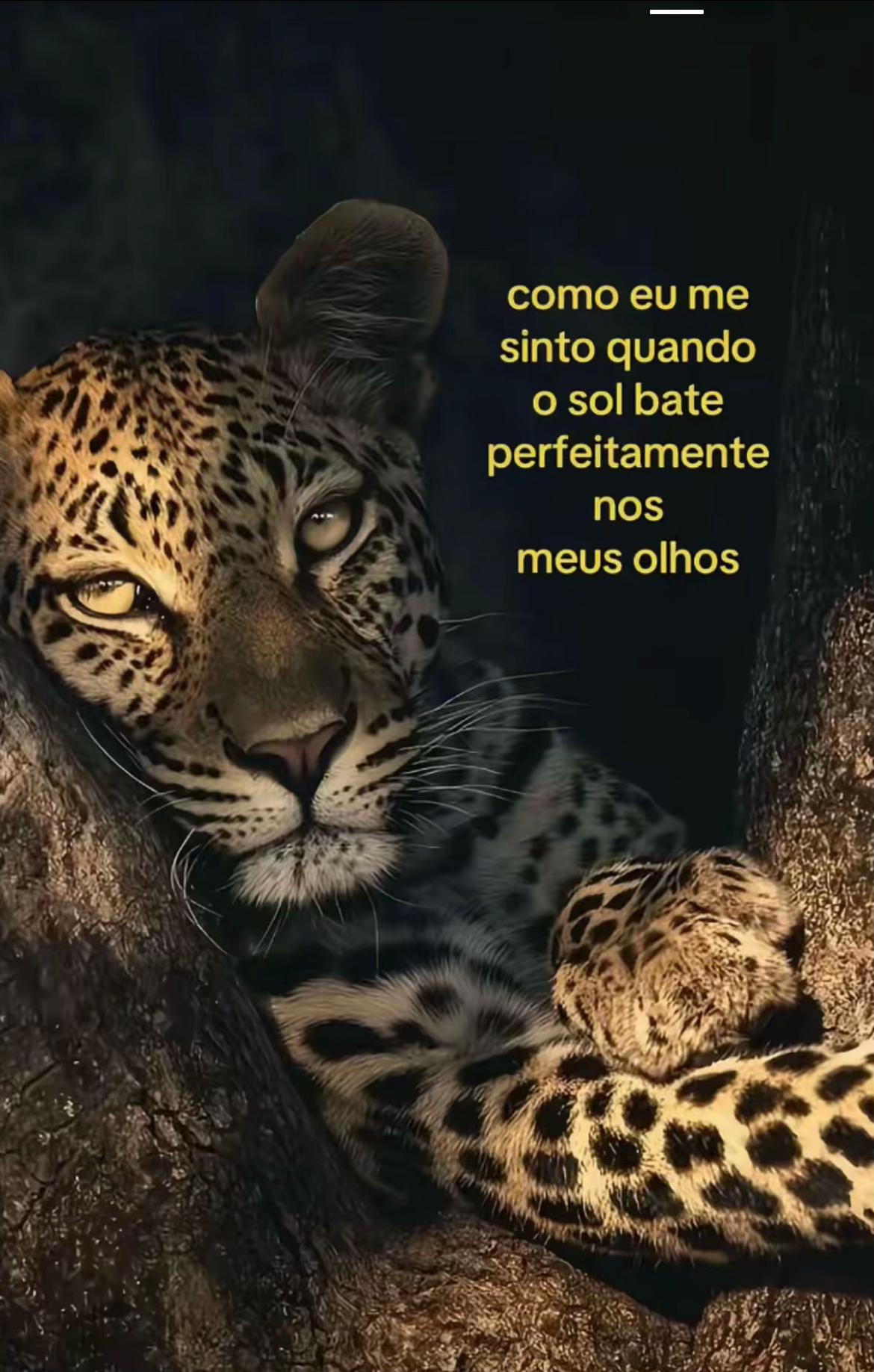 @A&rsquo;